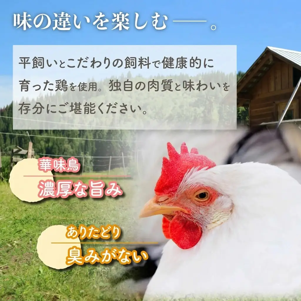 博多の歴史『水炊き』食べ比べ2種セット【2～3人前】 [M950-1]