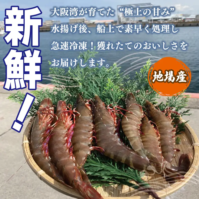 【定期便】足赤エビ 250g×全6回 計1.5kg