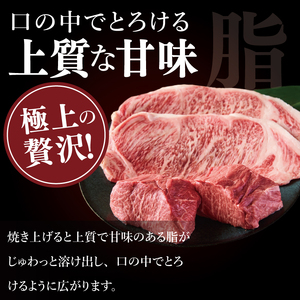 常陸牛2種ステーキ　(サーロインステーキ400g、赤身ステーキ400g)（NW-11）