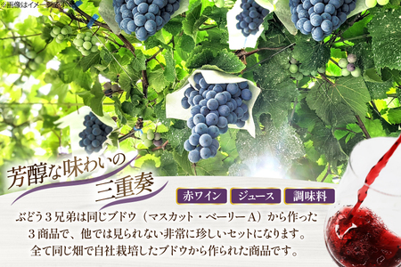 ぶどう 赤ワイン 樽熟成 赤ワイン ステンレスタンク熟成 ブドウジュース ロワイヤルヴェルジュ 750ml × 2本 720ml × 1本 190ml × 1本 ( 4本 セット ) [Creation farm 山梨県 韮崎市 20745311]