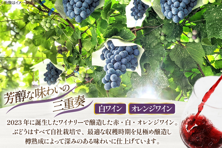 ワイン 白ワイン樽熟成 オレンジワイン樽熟成 750ml × 2本 セット [ Creation farm 山梨県 韮崎市 20745309]