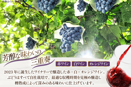 ワイン 樽熟成赤ワイン 樽熟成白ワイン 樽熟成オレンジワイン 750ml 3本 セット [Creation farm 山梨県 韮崎市 20745308]