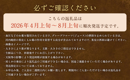 【2026年4月上旬より順次発送】贈答用 河内晩柑 5kg【えひめの町（超）推し！（愛南町）】(382-1)