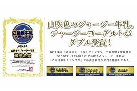 【6ヶ月定期便】 山吹色のジャージー牛乳・ヨーグルトセット 定期便 黒川温泉 山吹色のジャージー牛乳 飲むヨーグルト 2種 11本 ジャージー牛乳 900ml のむヨーグルト 150ml 詰め合わせ アソート セット 乳製品 飲料 健康 腸活 免疫力アップ 乳酸菌 ご当地牛乳グランプリ ご当地 ギフト 贈答用 山のいぶき 熊本 阿蘇 南小国町 送料無料