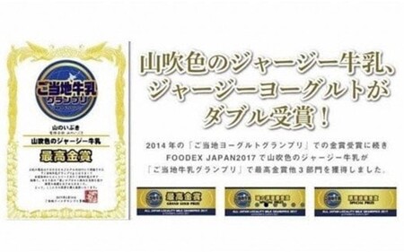 【12ヶ月定期便】 山吹色のジャージー牛乳・ヨーグルトセット 定期便 黒川温泉 山吹色のジャージー牛乳 飲むヨーグルト 2種 11本 ジャージー牛乳 900ml のむヨーグルト 150ml 詰め合わせ アソート セット 乳製品 飲料 健康 腸活 免疫力アップ 乳酸菌 ご当地牛乳グランプリ ご当地 ギフト 贈答用 山のいぶき 熊本 阿蘇 南小国町 送料無料