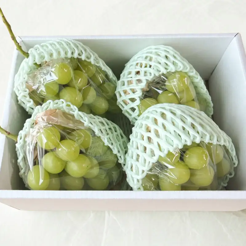 はじける美味しさ！山形の朝どりシャインマスカット 約1.4kg 2～3房【令和8年産先行予約】FS25-135