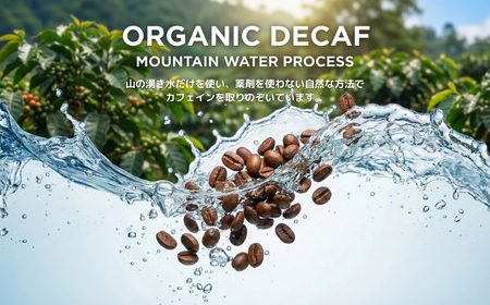 しかめがね DECAF珈琲豆 100g | コーヒー 豆 焙煎 デカフェ 豆 酸味 苦味 すっきり バランス カフェインレス 妊婦 授乳