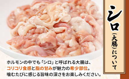 【2026年1月下旬から出荷】コリコリ食感がたまらない！北海道ブランド豚「かみふらのポーク」シロホルモン 2種セット 各1個 計2個 小分け・個包装 ( ホルモン 焼肉 食べ比べ 豚 豚肉 大腸 シロ )