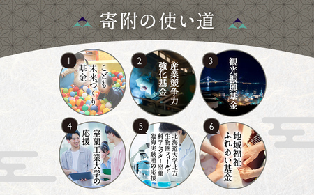 【返礼品なし】北海道室蘭市・応援寄附5,000円（寄附のみの応援受付 ※返礼品はございません） MROBR005