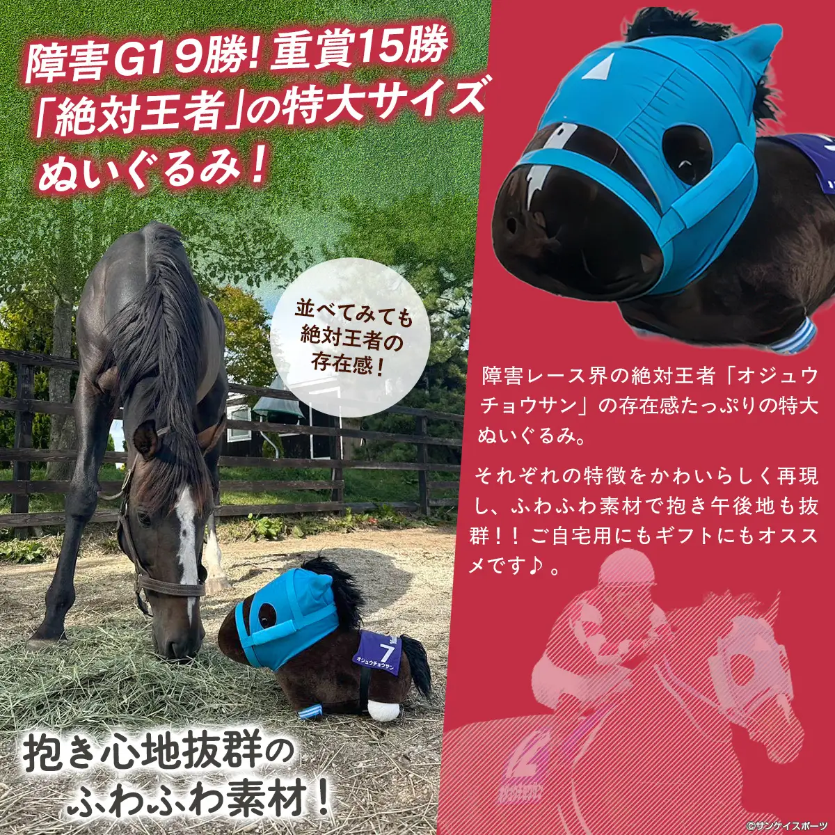 【オジュウチョウサン】特大ぬいぐるみ　絶対王者バージョン BRTV007
