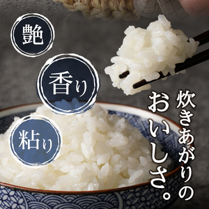 a24-072　令和７年産 ネギトロに合う！ 焼津のお米 にじのきらめき 白米10kg
