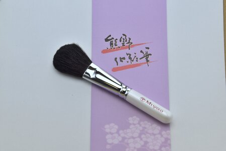 熊野化粧筆 チークブラシ メイクアップ ポニー(ふるさと納税限定)【メイクブラシ 化粧筆 チークブラシ 馬毛 ポニー 化粧 メイク コスメ 美容 立体感 透明感 熊野筆 伝統工芸 職人技 高級筆 】 22-32