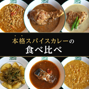 【食べ比べ】人気スパイスカレー6種セット