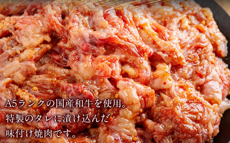 【6か月定期便】国産和牛味つき焼肉用 250g (250g×1) MROBM007