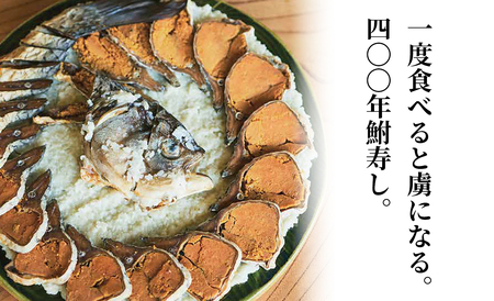 【B-902】総本家喜多品老舗 四〇〇年鮒寿し　滋味三種セット～ふなずし 発酵和ごはん（ゆず入り）・大溝 甘露漬 きざみ・飯漬（切り落とし）～　計3個セット【高島屋選定品】