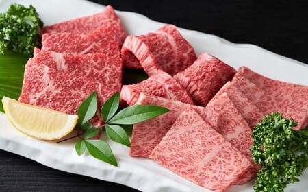 【訳あり】【A4～A5】 長崎和牛 焼肉用 約1kg （約500g×2パック） ／ 和牛 牛肉 ぎゅうにく お肉 おにく 肉 にく バラ 肩ロース モモ 焼肉 やきにく バーベキュー BBQ 長崎県 時津町 冷凍