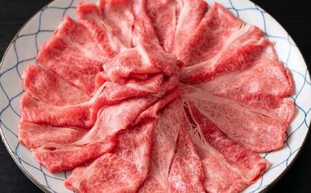 【厳選部位】【A4～A5】 長崎和牛 サーロイン しゃぶしゃぶ すき焼き用 約600g （約300g×2パック） ／ 和牛 牛肉 ぎゅうにく お肉 おにく 肉 にく 牛サーロイン スライス すき焼き 長崎県 時津町 冷凍