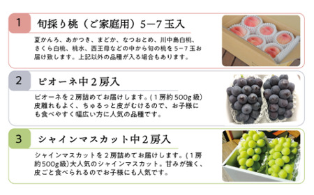 桃、ピオーネ、シャインマスカットが少しずつ届く夏の満足便！３回便(定期便) (岡山県産)【KF-T022-02】
