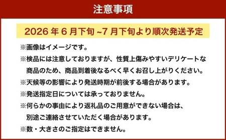 枝豆 湯あがり娘 約1kg （約200g×5袋） 【2026年6月下旬～7月下旬まで順次発送予定】｜ 野菜 豆 えだまめ おつまみ おやつ 旬 旬の野菜 旬の食材 国産 小分け 個包装 静岡 静岡県産 静岡県 菊川市