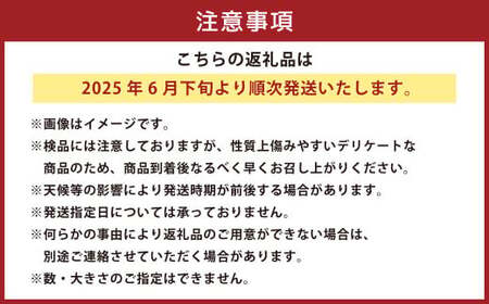 枝豆 湯あがり娘 約1.6kg （約200g×8袋） 【2026年6月下旬～7月下旬まで順次発送予定】｜ 野菜 豆 えだまめ おつまみ おやつ 旬 旬の野菜 旬の食材 国産 小分け 個包装 静岡 静岡県産 静岡県 菊川市