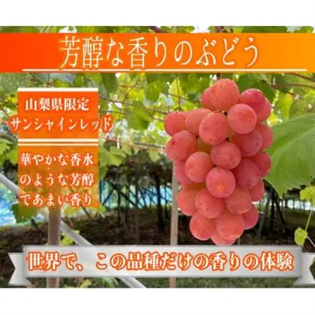 サンシャインレッド 富士の輝 シャインマスカット 2kg 3房(各1房)【配送不可地域：離島】【1694811】