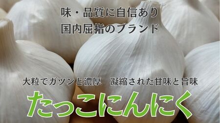 日本一ブランドたっこにんにくLサイズ15玉（青森県田子町産にんにく）