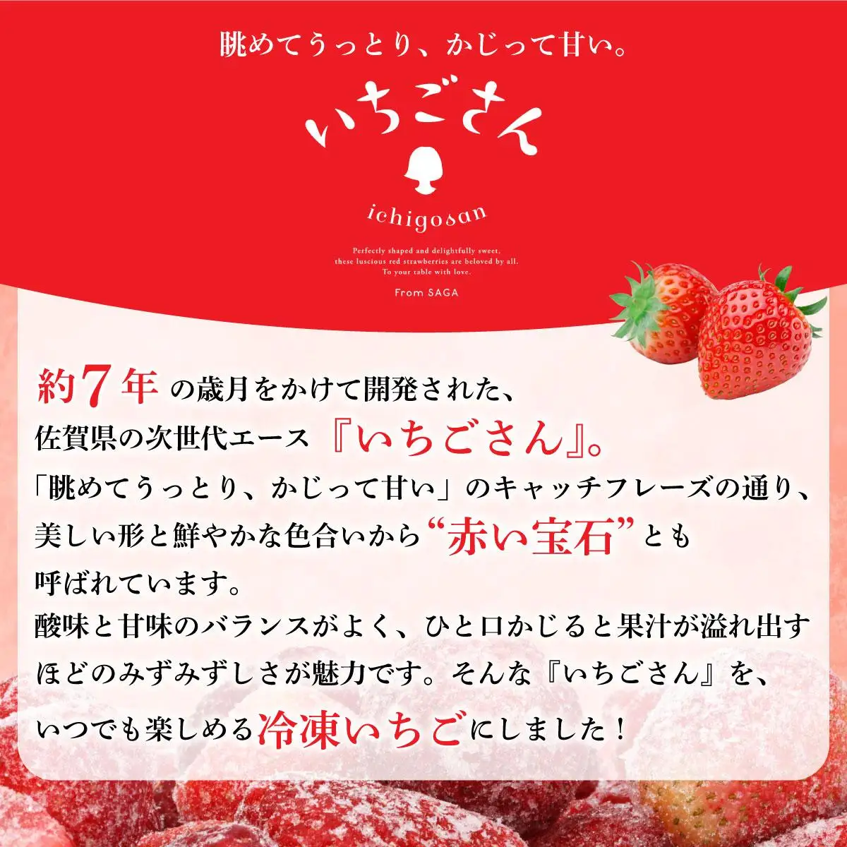 ◆赤い宝石◆いちごさん 冷凍いちご 3kg（500g×6袋）