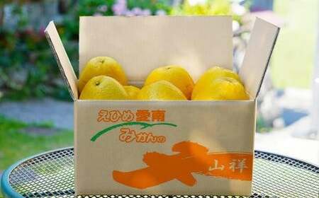 【数量限定】 河内晩柑 中玉 10kg みかんの山祥 河内晩柑