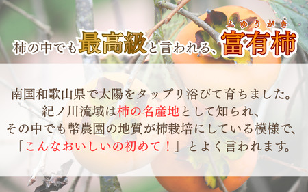 先行予約 富有柿  約2.5～3kg 秀優混合 サイズ混合 【2026年11月中旬～12月下旬頃発送予定】～こんな美味しいの「食べるのはじめてや!」の感動をお届けします。～ / 柿 富有柿 和歌山県 かつらぎ町 秋の味覚 フルーツ 果物 甘い 美味しい 旬【G-art044】