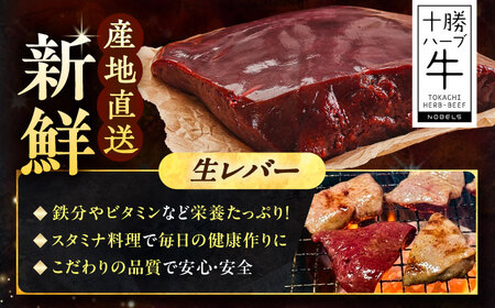 北海道 十勝 ハーブ牛 牛肉 生レバー ブロック 800g（200g×4） 《足寄町》【株式会社ノベルズ食品】[BEAQ020]