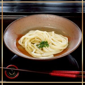 たどつ製麵　本生かけうどん　だし付き 8人前【B-73】