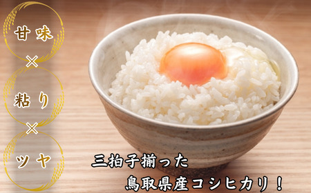 Y1072 鳥取県産「コシヒカリ」精白米10kg（令和8年産）