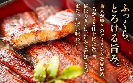 宮崎県産 国産うなぎ蒲焼 2尾 うなぎ