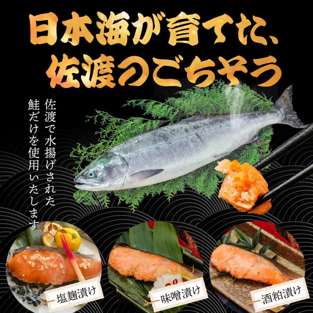 鮭〈先行予約2026年2月発送・佐渡水揚げ限定〉【新潟県佐渡】日本海の宝・佐渡から届く、極上の海の幸　漬魚　佐渡産の鮭と佐渡の伝統的な3種の味付け　焼き上げ加工済み　湯せん・レンチンでお手軽　食卓で本格的な味