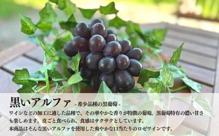 【2026年9月以降順次発送】希少葡萄のロゼワイン「BLACK DAWN」&ジャム3種(岡山県産)【KF-S011-03】