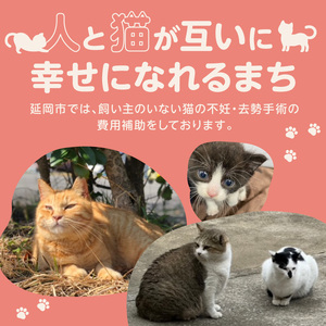 人と猫が互いに幸せになれるまちを目指して『不妊去勢手術支援プロジェクト』（返礼品はありません） N0159-9999992