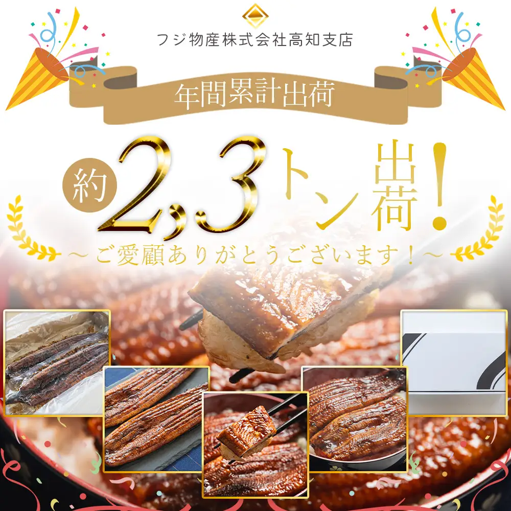国産蒲焼きうなぎ ２５０ｇ ４尾 計１kｇ 蒲焼き fb-0169