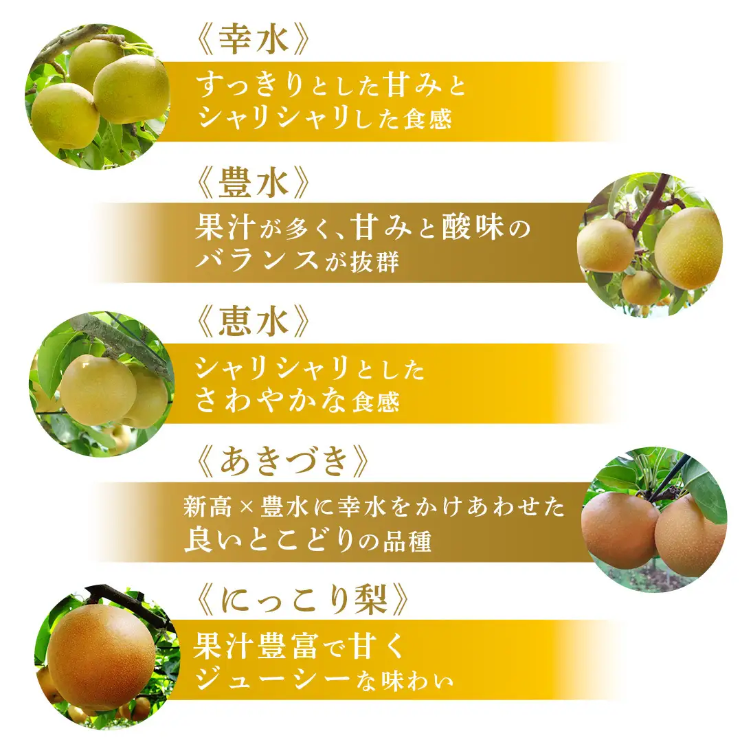 豊水 約 5kg （8～14玉） 2026年産 先行予約 梨 果物 フルーツ なし ナシ 豊水梨 くだもの デザート 茨城 [BQ020sa]