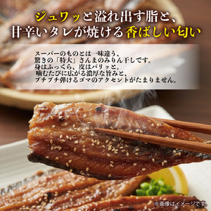 超特大さんまみりん干し 2枚 ＼ 干物 ／