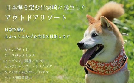 【アウトドアチケット】20,000円分 キャンプ ドッグラン 天然芝  サウナ トリミング ワンちゃんホテル 酵素風呂 新潟県 出雲崎町 | リゾート 新潟県 出雲崎町 