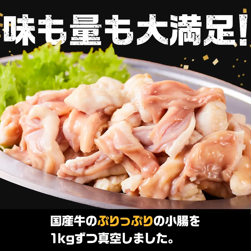 《業務用・訳アリ》国産牛　小腸　1kg | 小腸