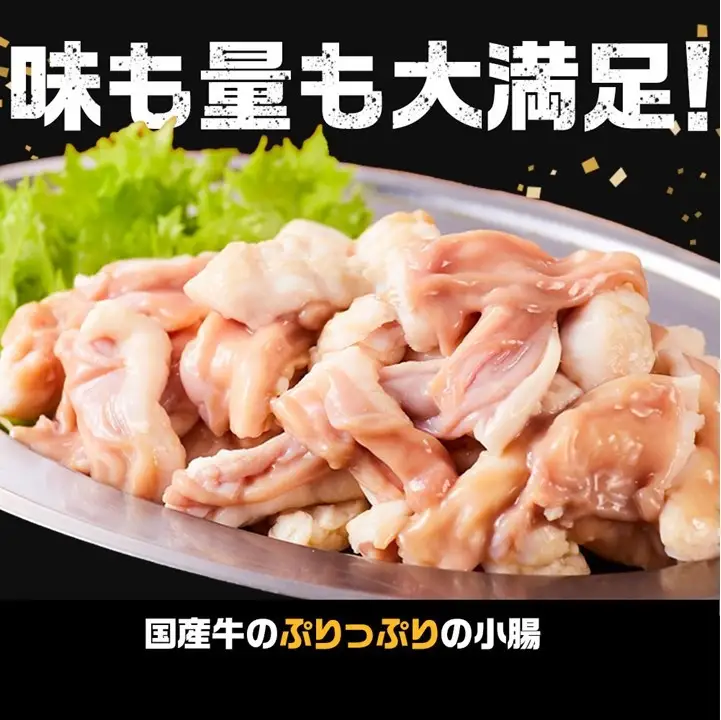 《完全業務用》国産牛　小腸　10kg