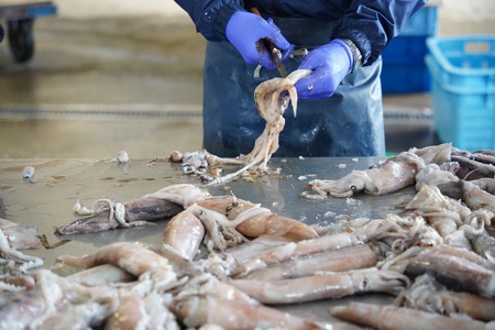 肉厚するめ 4枚入り せたな町 ふるさと納税