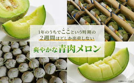 【2026年8月上旬から順次発送】【北海道産極旨メロン】クレセントメロン 4玉 メロン 旬 野菜 青肉 ジュース  産地直送 せたな町 ふるさと納税