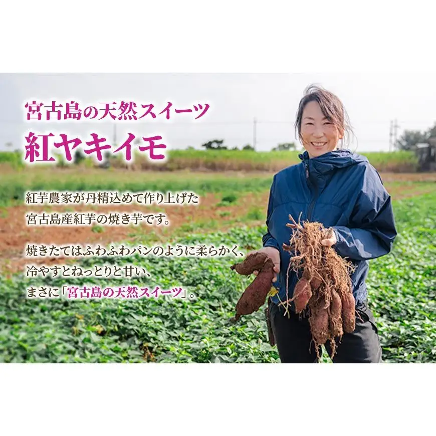 【紅ヤキイモ】ねっとりと甘く焼き上げた宮古島産紅芋の焼き芋（IM01）
