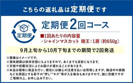 【2回定期便】シャインマスカット 晴王 １房 約650ｇ ２回 定期便 9月・10月に1回ずつ発送 岡山県産 種無し 皮ごと食べる みずみずしい 甘い フレッシュ  彩美菜果【2026年9月上旬発送開始】【岡山県産 種無し 皮ごと食べる みずみずしい 甘い フレッシュ 9月～10月発送 晴れの国 おかやま ぶどう 葡萄 マスカット 果物大国 彩美菜果 岡山県 倉敷市 おすすめ 人気】