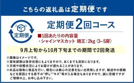 【2回定期便】シャインマスカット 晴王 約2kg（3～5房） ２回 定期便  9月・10月に1回ずつ発送 岡山県産 種無し 皮ごと食べる みずみずしい 甘い フレッシュ【2026年9月上旬発送開始】【岡山県産 種無し 皮ごと食べる みずみずしい 甘い フレッシュ 9月～10月発送 晴れの国 おかやま ぶどう 葡萄 マスカット 果物大国 彩美菜果 岡山県 倉敷市 おすすめ 人気】