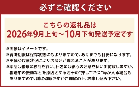  プレミアム シャインマスカット 晴王 1房 約600g【2026年9月上旬-10月下旬 発送予定】 【シャインマスカット マスカット ぶどう 葡萄 岡山県産   種無し 皮ごと食べる みずみずしい 9月～10月お届け フレッシュ 晴れの国おかやま 果物大国 贈答品 彩美菜果 岡山県 倉敷市】