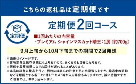  【2回定期便】プレミアム シャインマスカット 晴王 1房 約700g 2回 定期便 9月・10月に1回ずつお届け 種無し  皮ごと食べる  フレッシュ  旬の美味しさ【2026年9月上旬発送開始】【シャインマスカット マスカット ぶどう 葡萄 岡山県産   種無し 皮ごと食べる みずみずしい 9月～10月お届け フレッシュ 晴れの国おかやま 果物大国 船穂産 贈答品  岡山県 倉敷市】