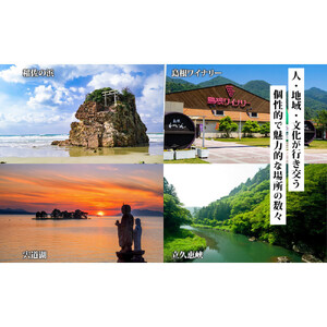 島根県 出雲市 後から選べる 旅行クーポン（900,000円分） 旅行券 宿泊券